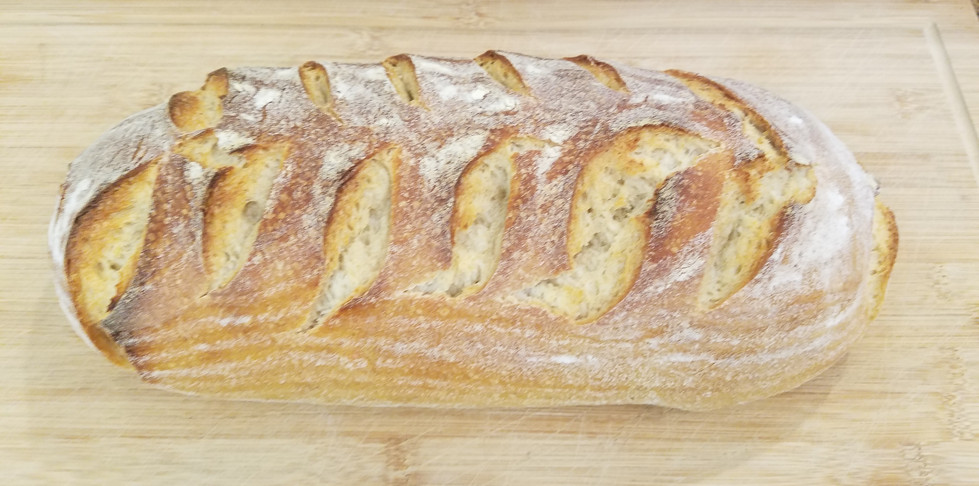 Sourdough Bâtard — Perfect Scores